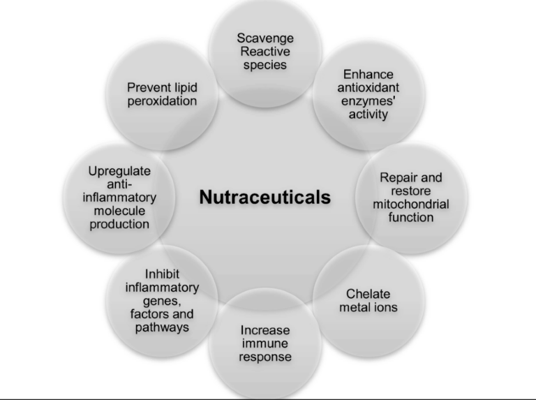 Why Nutraceuticals Are Important for Modern Lifestyles
